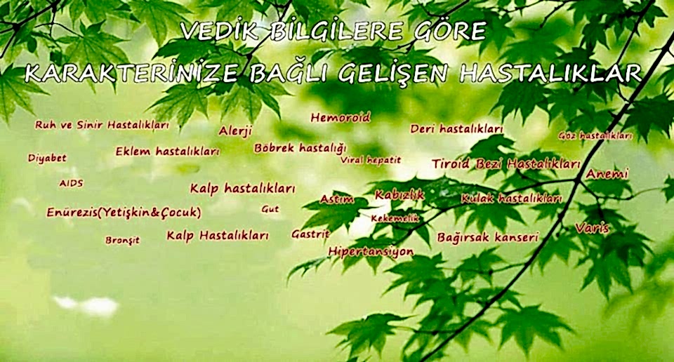 Seminer “Vedik Bilgiler”